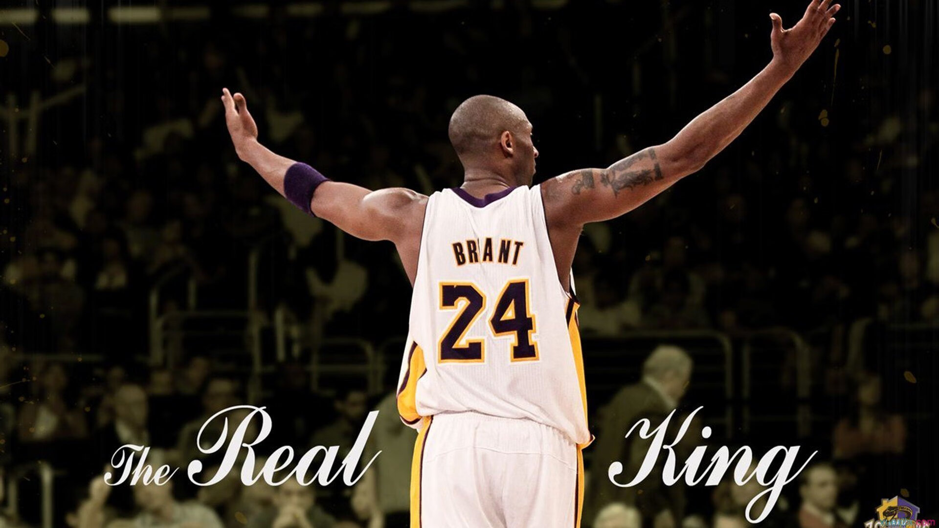 当铁血马竞遇上绿色孤岛，哈兰德数据风暴背后的足球寓言